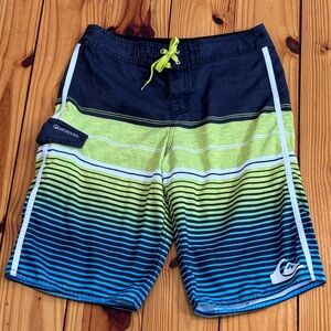 Quiksilver Men's Swim Trunk